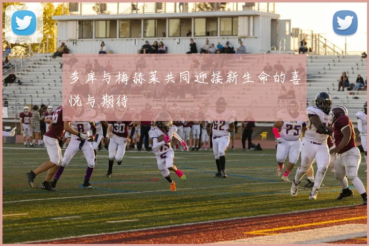 多库与梅赫莱共同迎接新生命的喜悦与期待